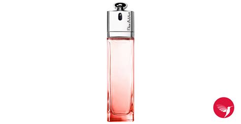 dior addict delice|Dior Addict for women.